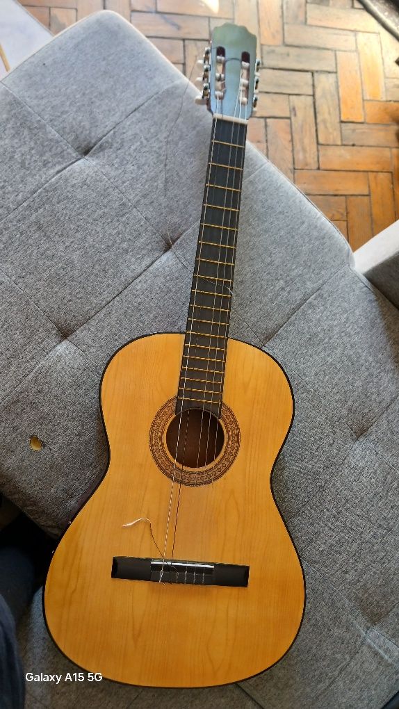 Viola clássica 120€
