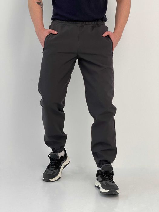 Штани чоловічі зимові утеплені на флісі софтшел сірі