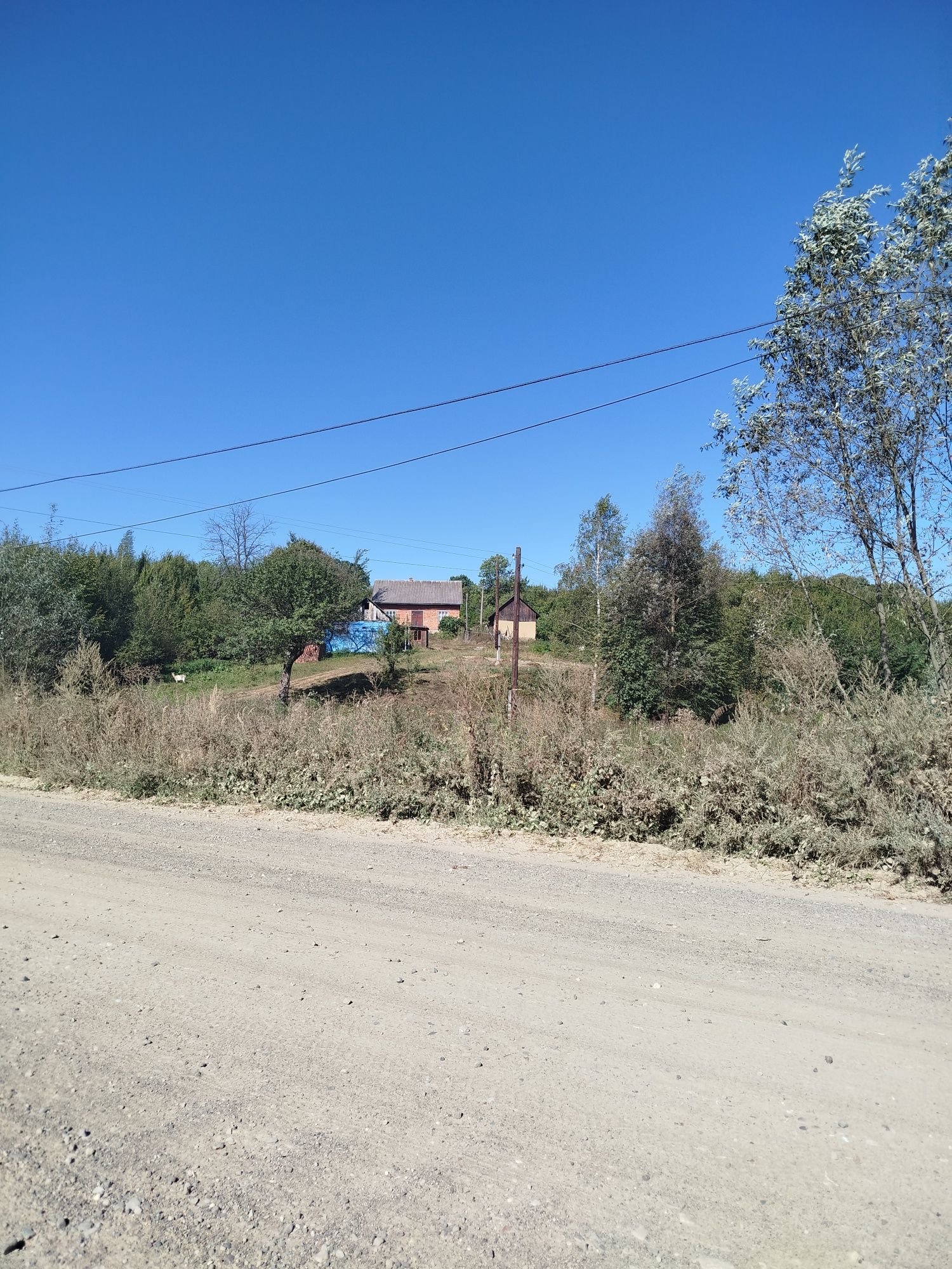 Будинок, земля, природа, близько до міста
