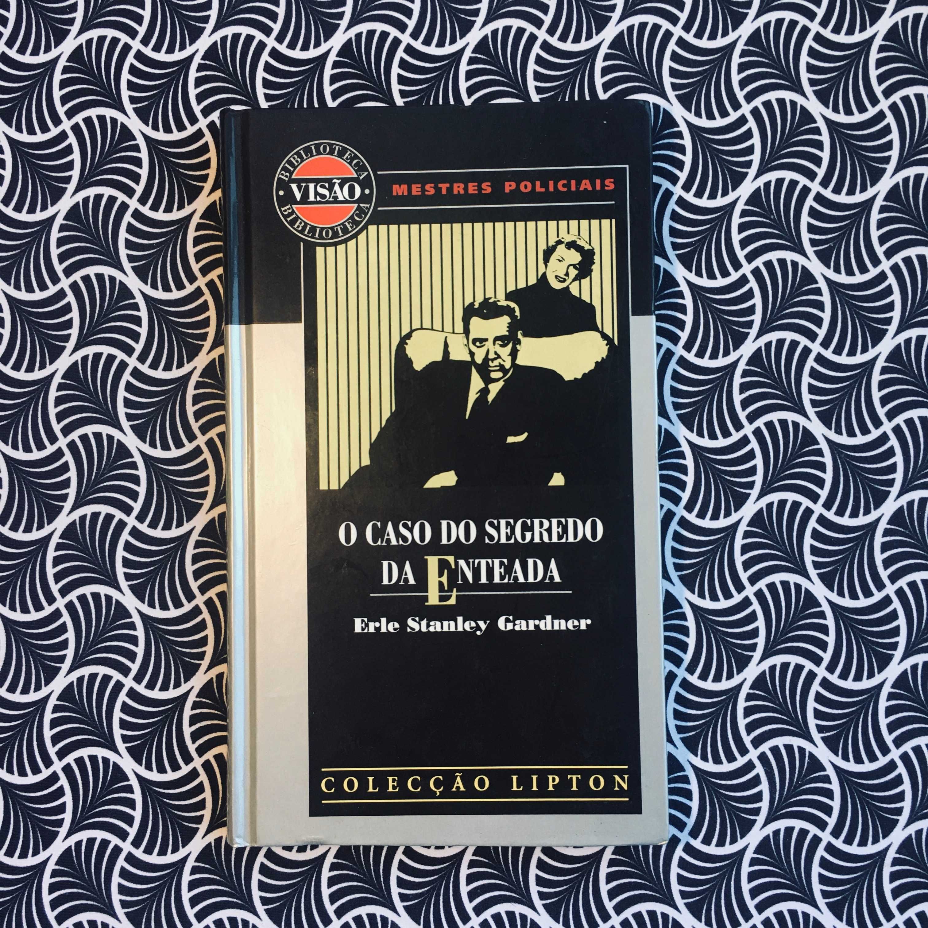 O Caso do Segredo da Enteada - Erle Stanley Gardner