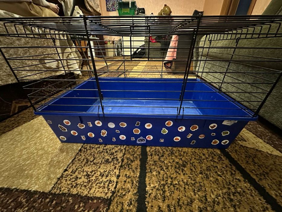 Клетка, клітка - для гризунів.