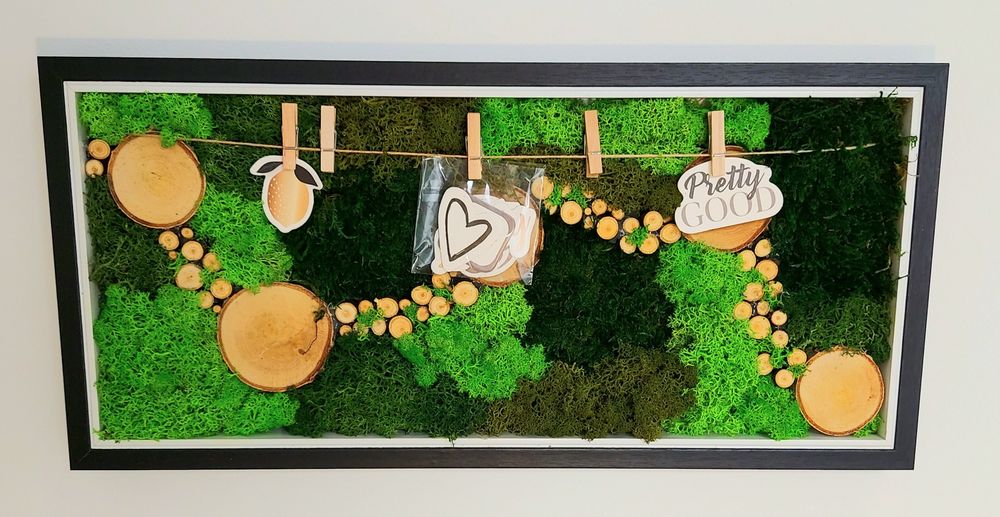 obrazy z mchu stabilizowanego mech chrobotek mech poduszkowy płaski