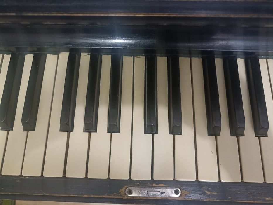 Піаніно, Україна