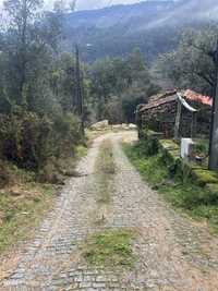 Terreno espetacular junto a praia fluvial em Cinfães