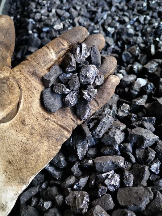 Groszek workowany ECO-STRONG 29MJ najwyższa jakość POLSKI SKARBEK