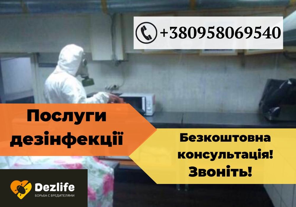 Истребляем тараканов клопов блох и грызунов Качественно Доступно