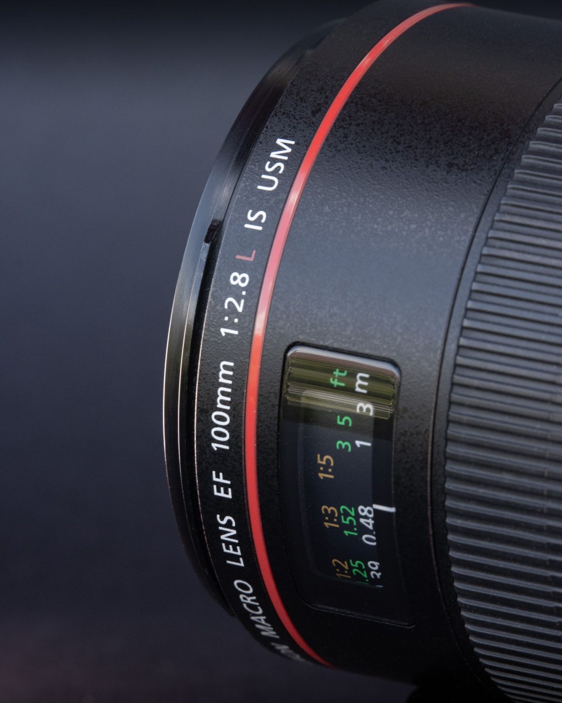 Canon EF 100mm f/2.8 L IS MACRO