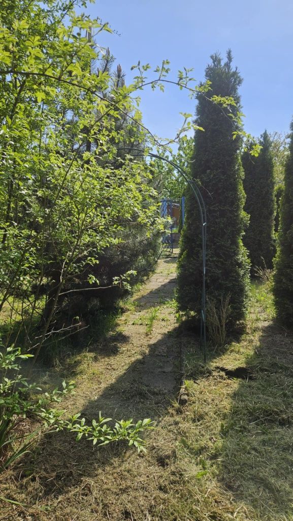 Ogródek dzialkowy 432m² ROD Powstaniec  Chorzów Stary