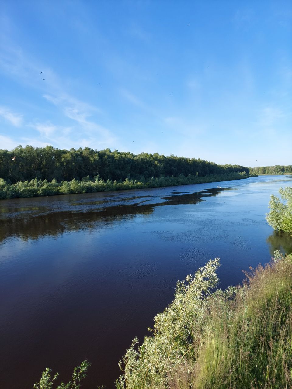 Садиба біля річки Десна. Село Слабин. Є-ВІДНОВЛЕННЯ.