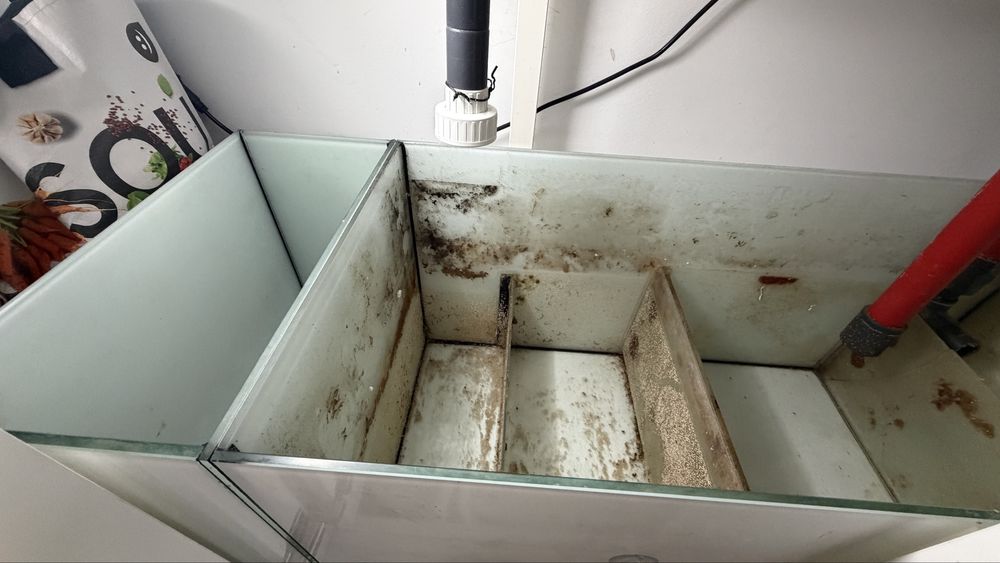 Aquario 150x50x50 com Armario e Sump