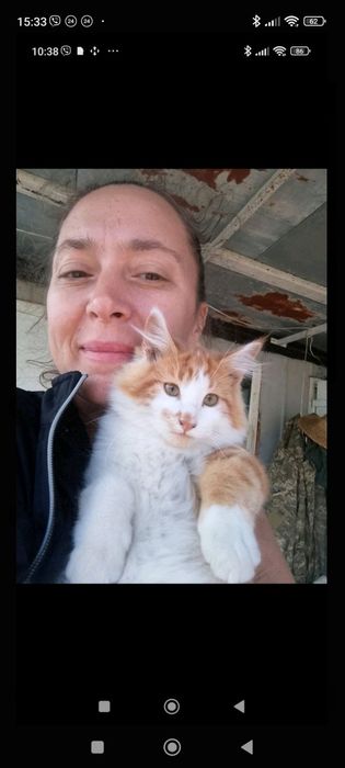 Продам Мейкуна самця