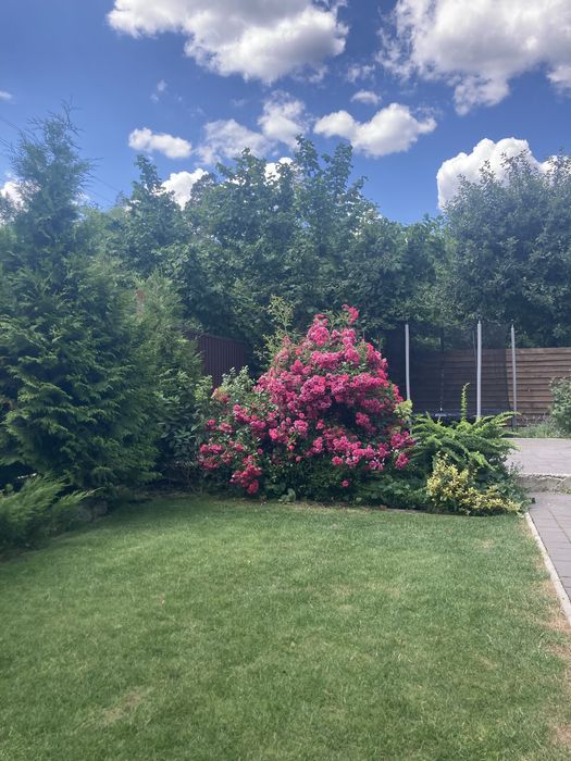 Подобова оренда будинку