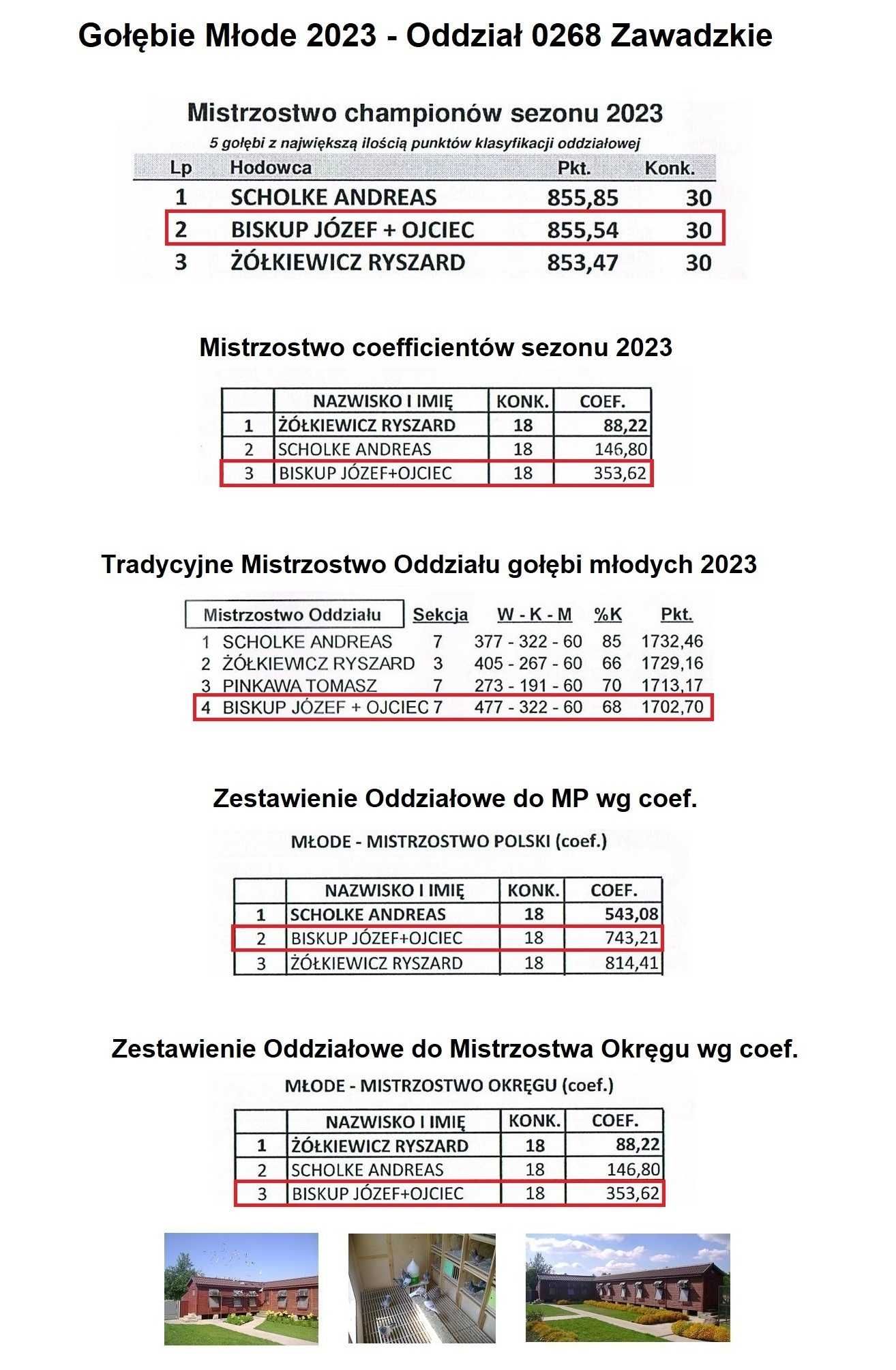 Gołębie pocztowe Vandenabeele Vloemans od Wielokrotnego Mistrza