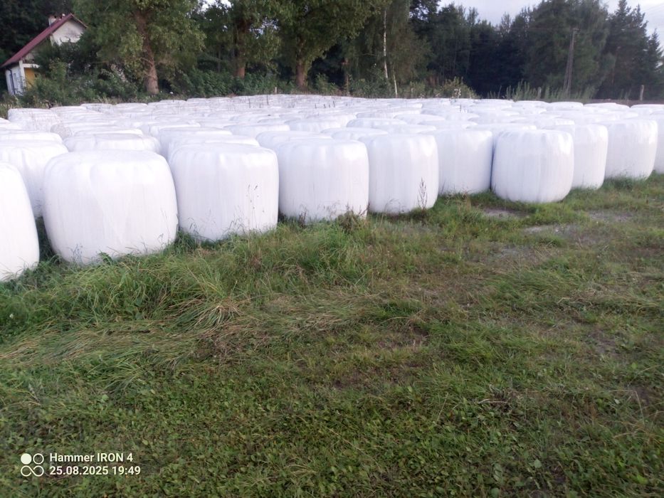 Sprzedam baloty siano kiszonki