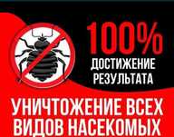 Уничтожение Тараканов Клопов Блох Клещей Комаров Крыс мышей насекомых