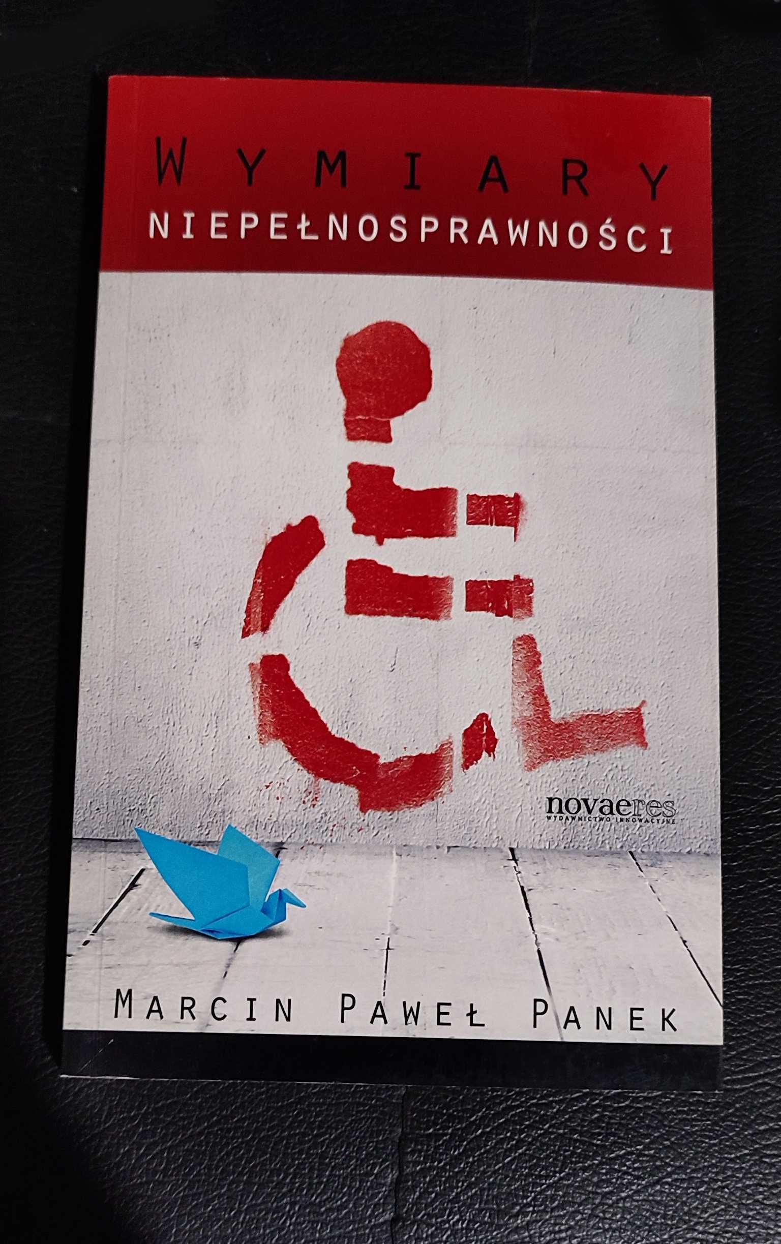 Marcin Paweł Panek - Wymiary niepełnosprawności