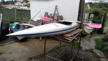 kaiak nelo k1 seevogel