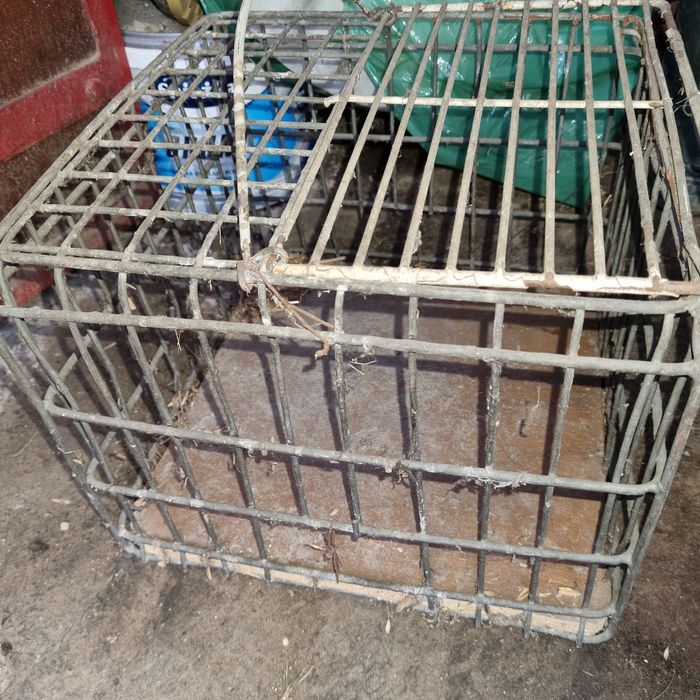 Klatka na przewóz zwierzątek małych