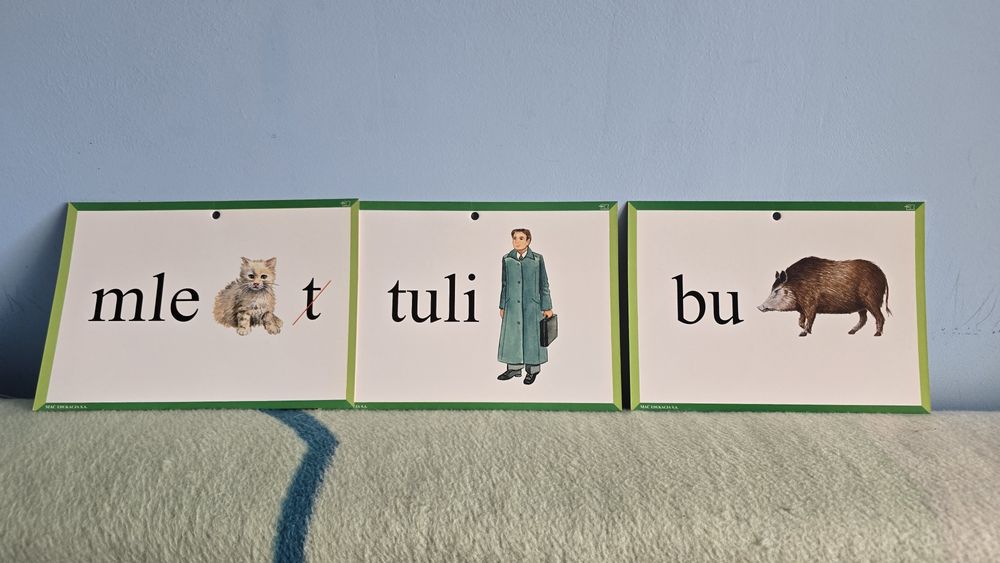 Pomoce dydaktyczne karty 95 sztuk