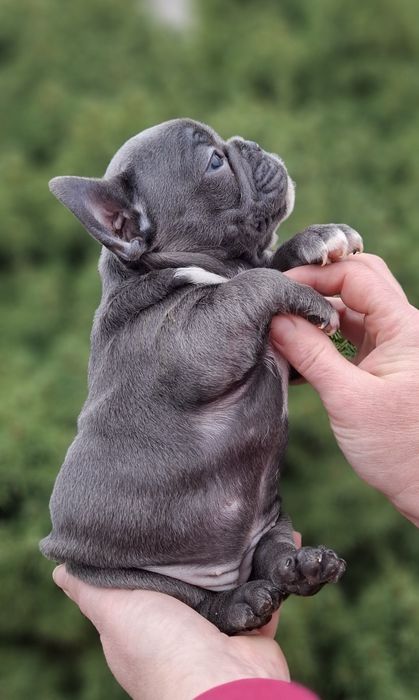 Нереальні дівчатка