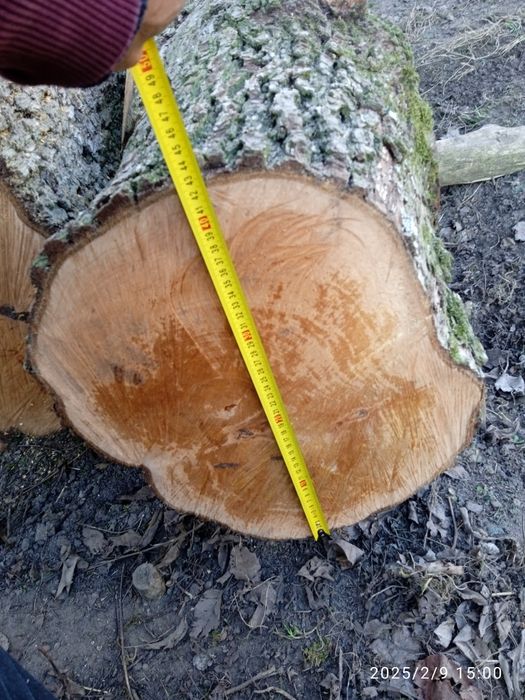 Кругляк   груша ...