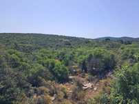 Algarve, 54 hectares, terreno de mato