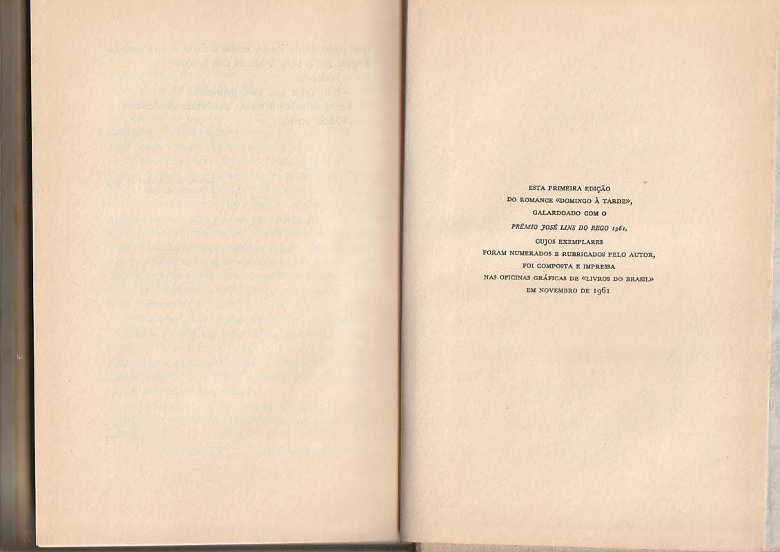 Domingo à tarde (1ª ed.)-Fernando Namora -Livros do Brasil