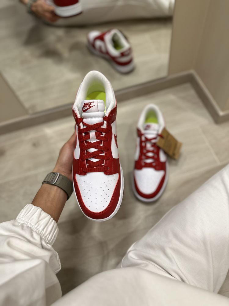 Чоловічі оригінальні кросівки Nike DUNK LOW DN1431 101