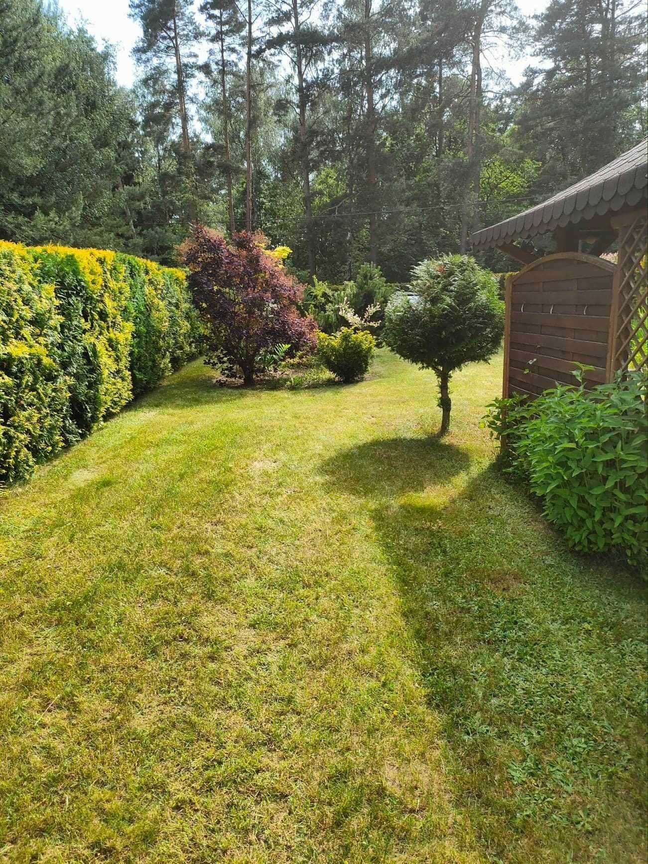 Wynajmę domek letniskowy nad jeziorem