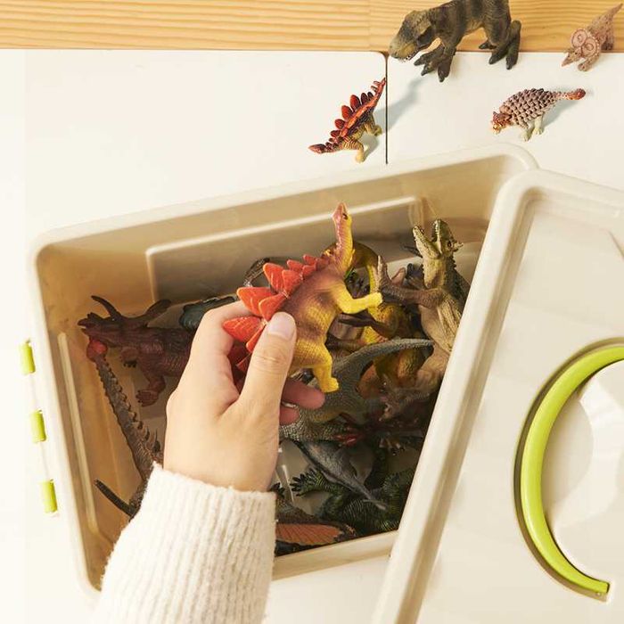 Mideer Набір фігурок Динозаври 24шт