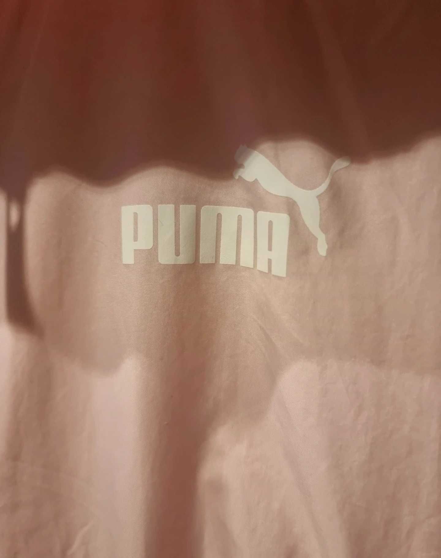 Kurtka wiatrowka puma