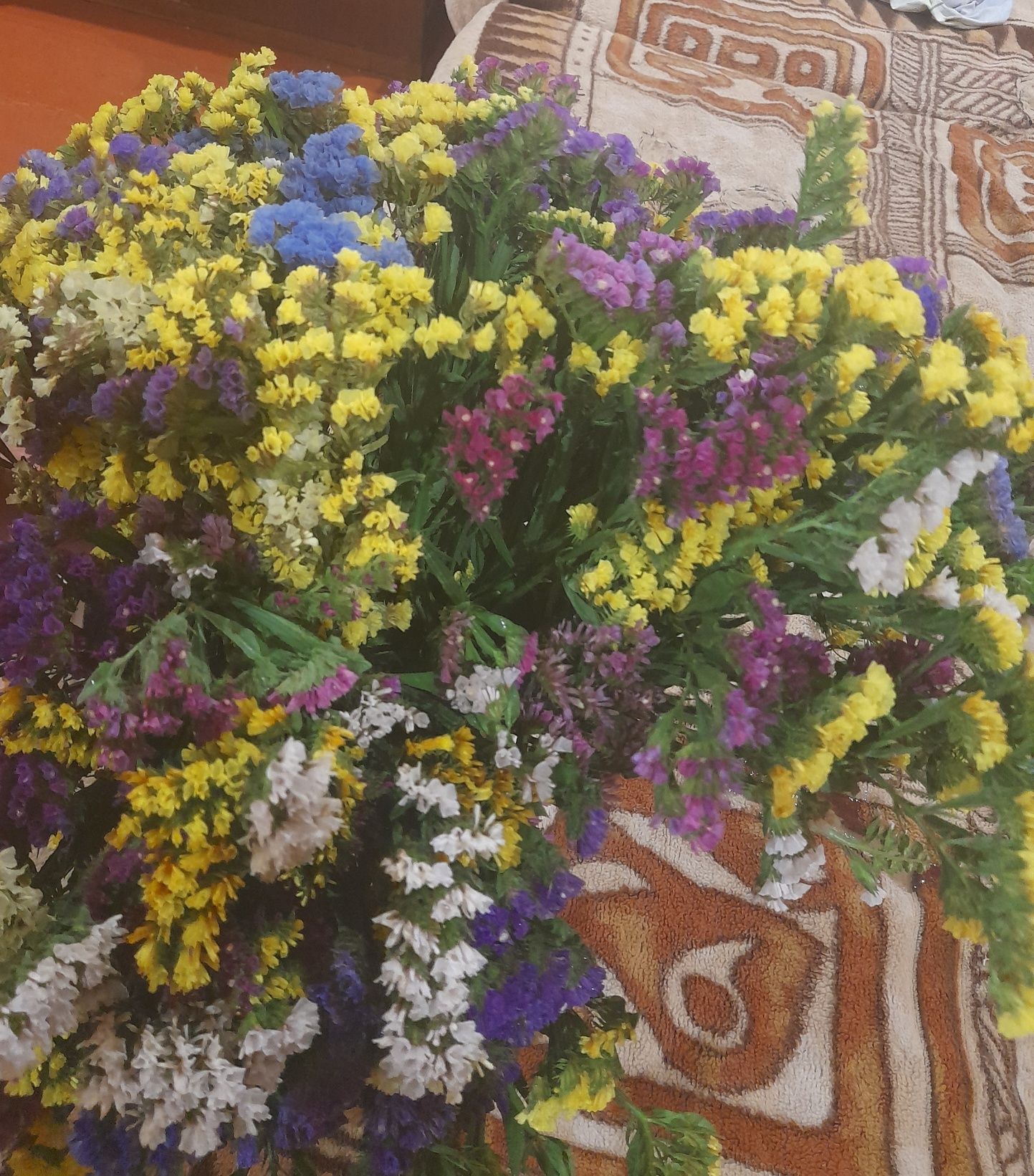 Сухоцвіти,кермек