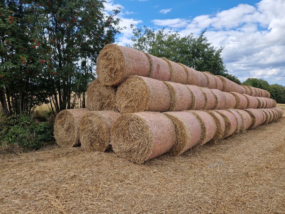 Siano, sianokiszonka i słoma