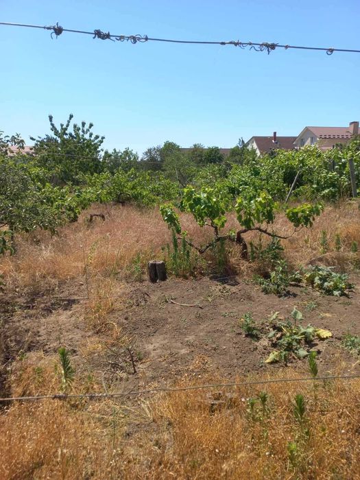 Продам Участок в Крыжановке
морская сторона