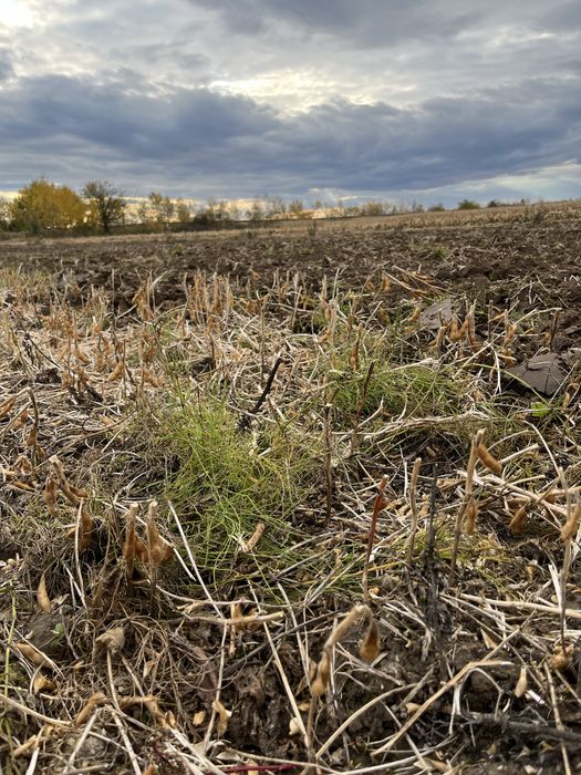 Продам Дискову борону