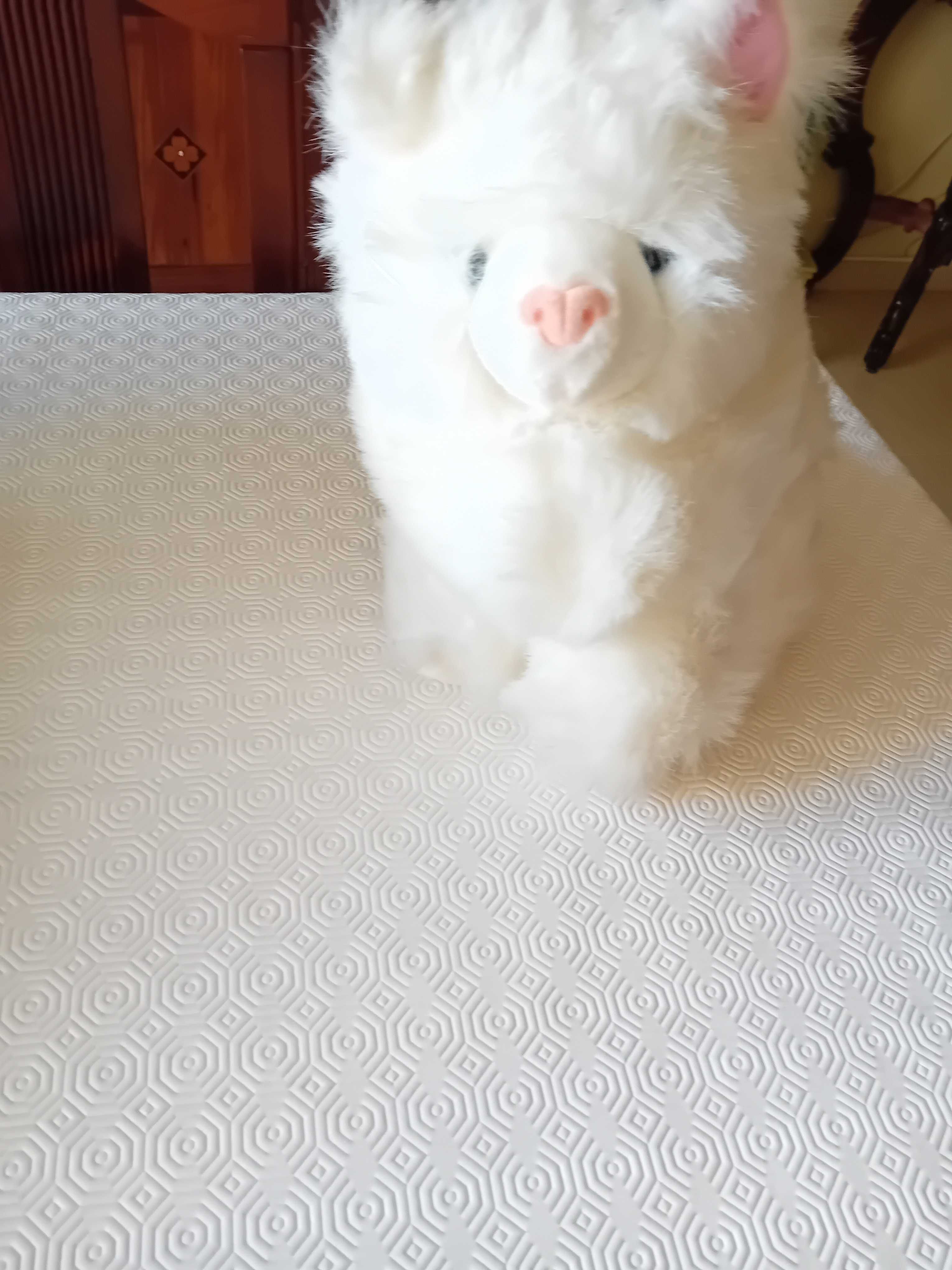 Gato de peluche branco