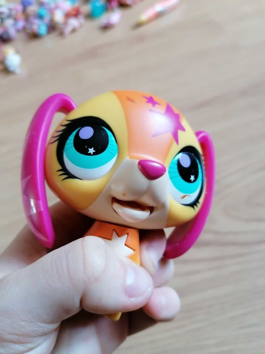 Śpiewający pet shop