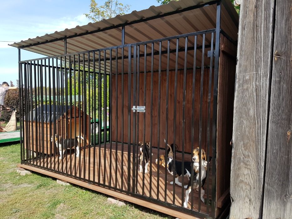 Kojec Klatka Zagroda Buda dla psa 3mx2m Montaż Gratis Solidny