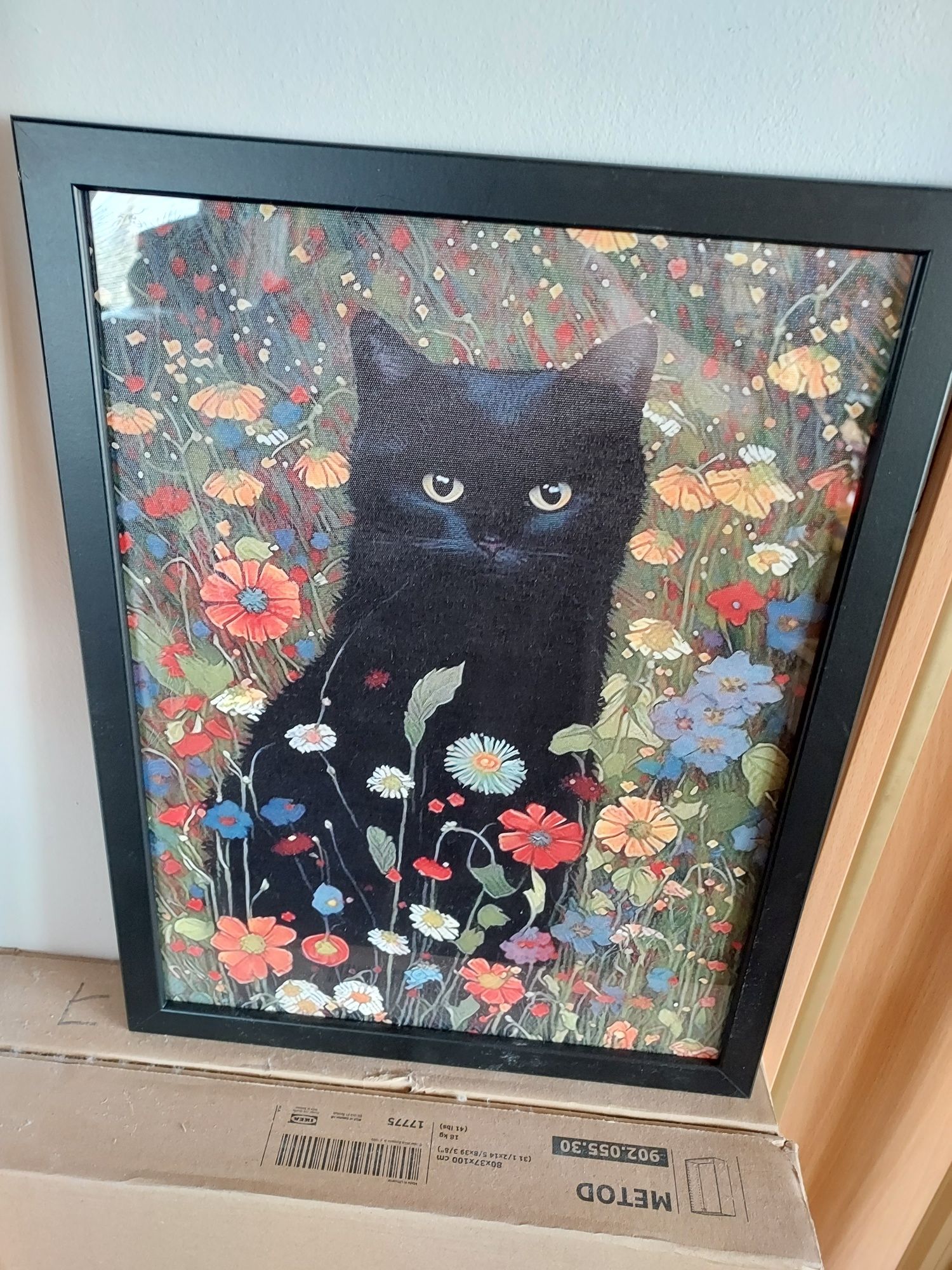 Obraz plakat obrazek w ramce kot kotek