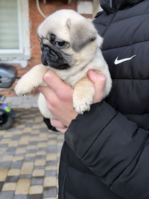 Чудова дівчинка!!!