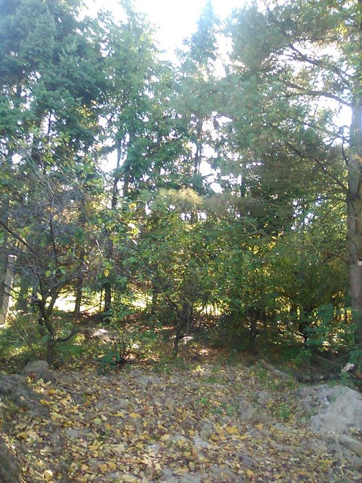 Działka budowlana z warunkami zabudowy