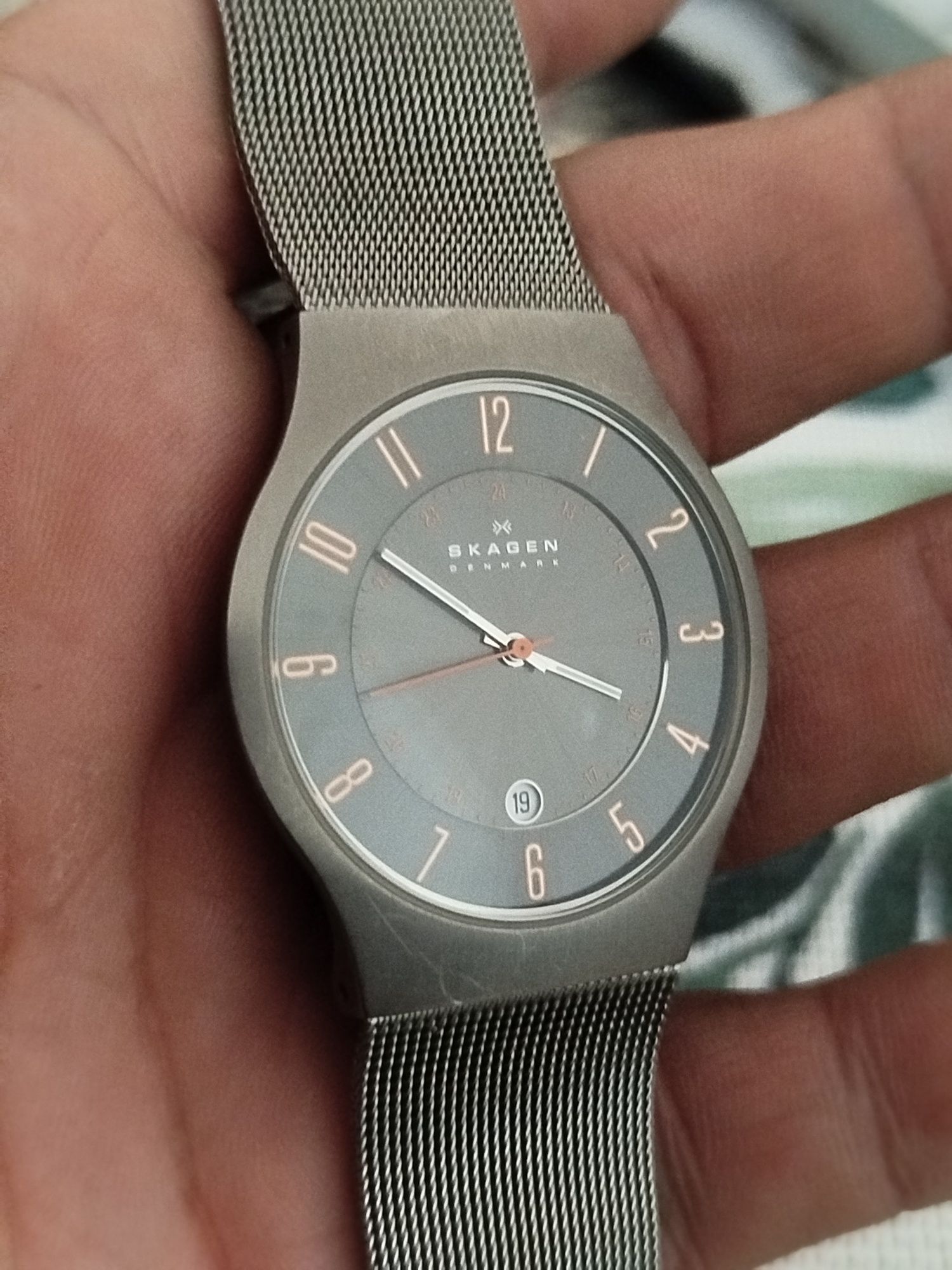Skagen titanium case