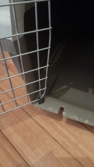 Caixa de transporte M.