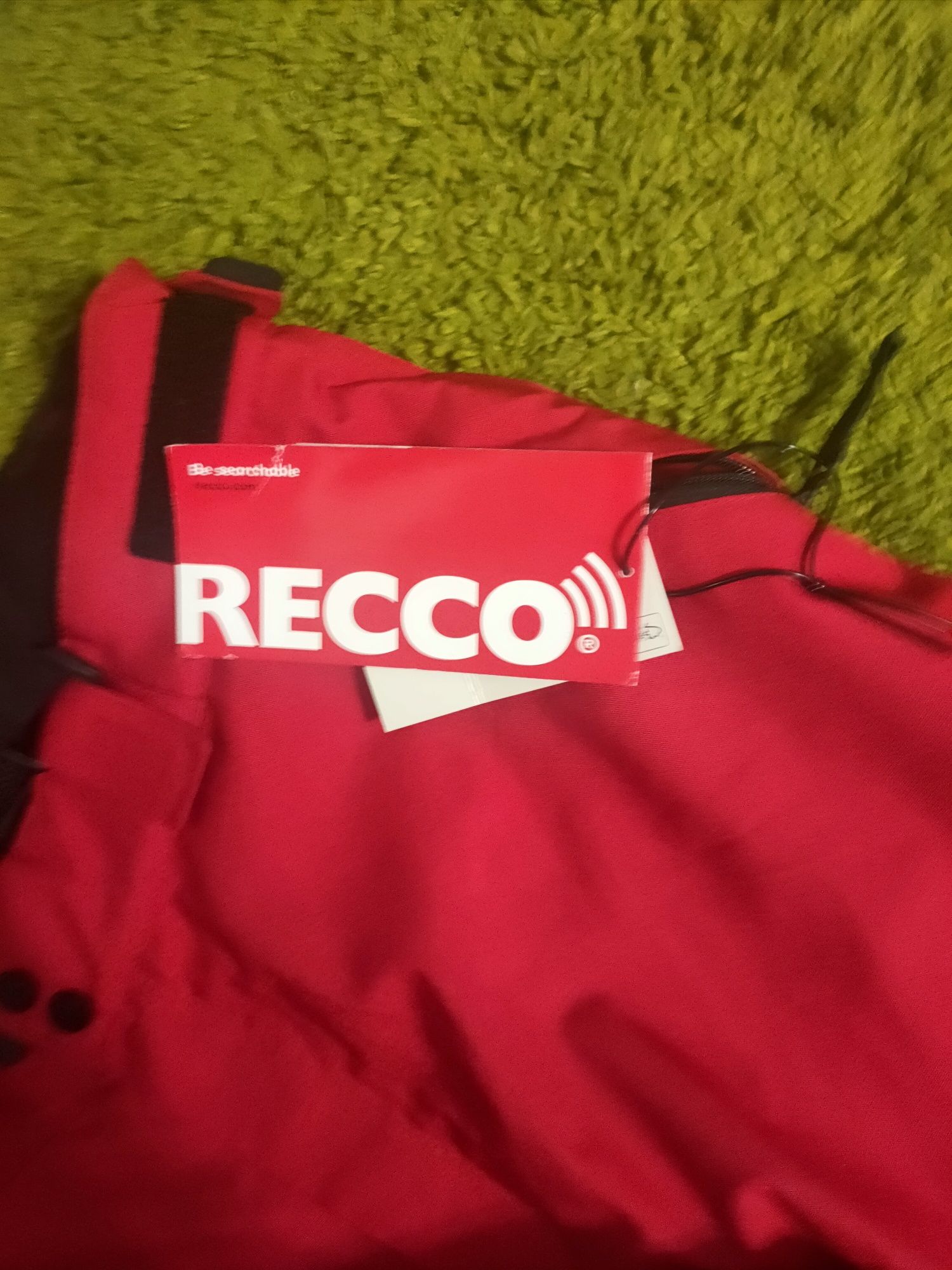 Гірськолижні штани фірми Recco