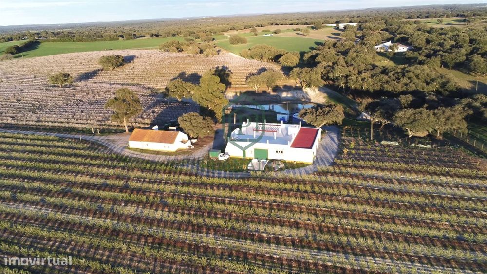 Quinta  Venda em Foros de Vale de Figueira,Montemor-o-Novo