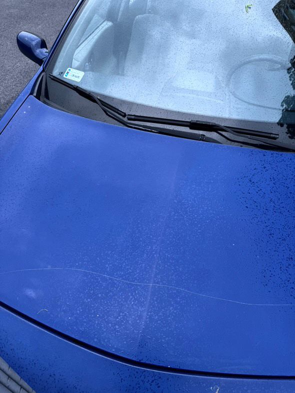 Renault Mégane II 1.6 LPG 2006 | Sprawny, ekonomiczny, nowe sprzęgło
