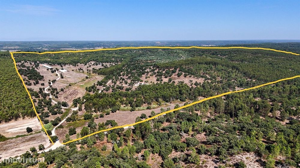 Herdade com total de  140 ha na freguesia da Raposa, Almeirim