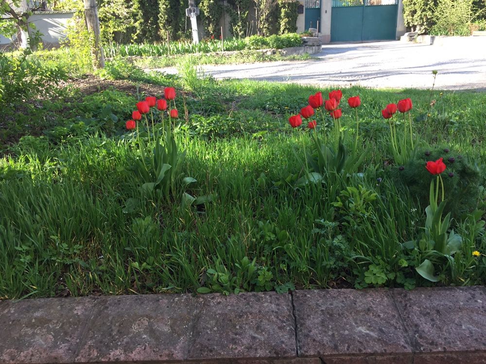 Помещение под жилье или на ваше усмотрение.