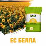 Семена подсолнечника ЕС Белла, Насіння соняшника Лідеа ЕС Белла