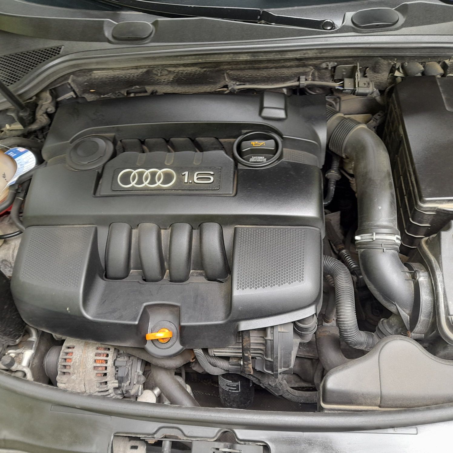 Audi a3 2006r ważny tuv klima 1.6mpi